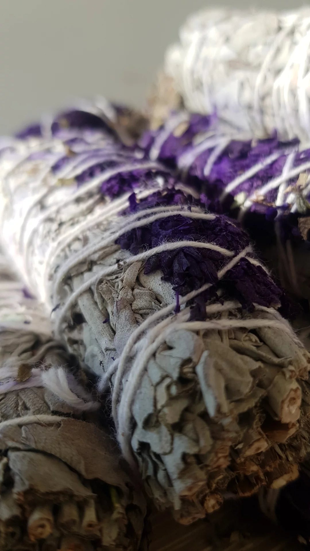 Salvie Lavendel
