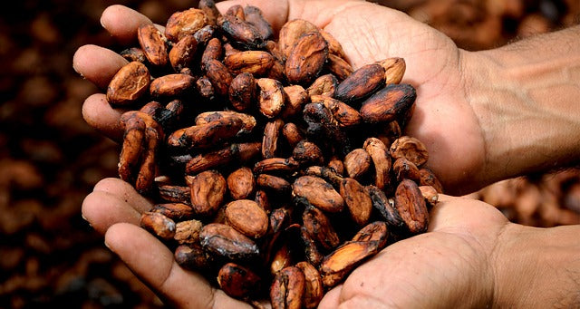 CEREMONIAL CACAO