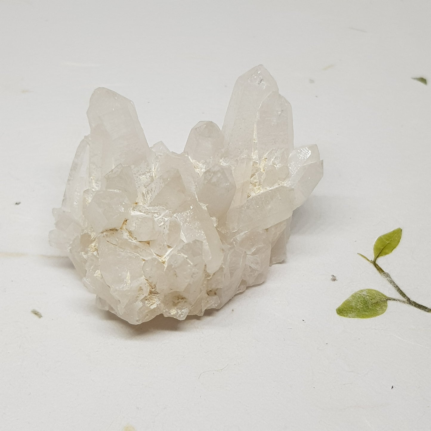 Bergkrystall ~ Kluster