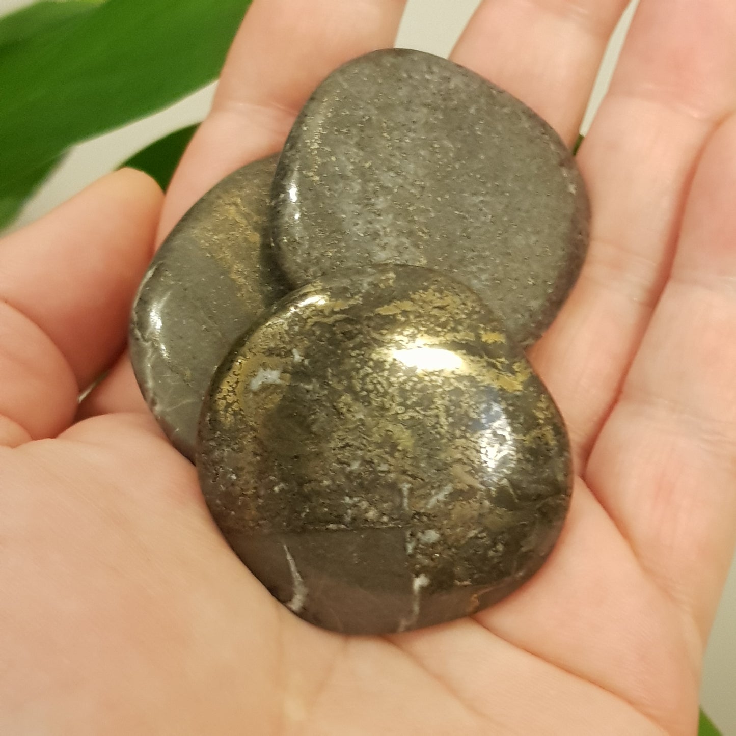 Pyritt Lommestein/ Pyrite Palmstone