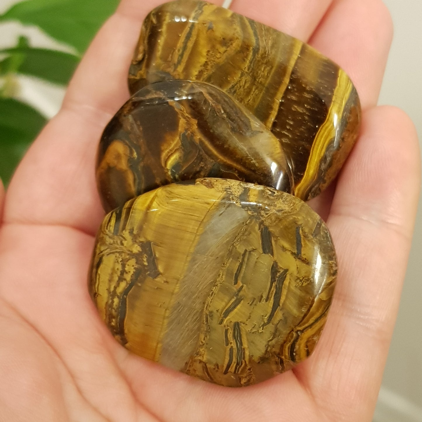 Tigerøye Lommestein/ Tiger Eye Palmstone