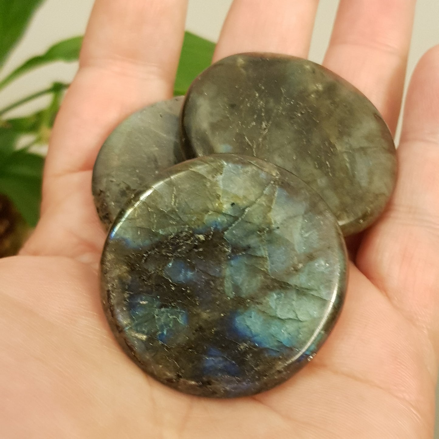 Labradoritt Lommestein/ Labradorite Palmstone
