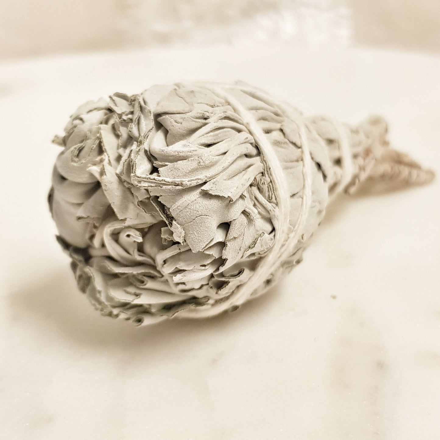 White Sage