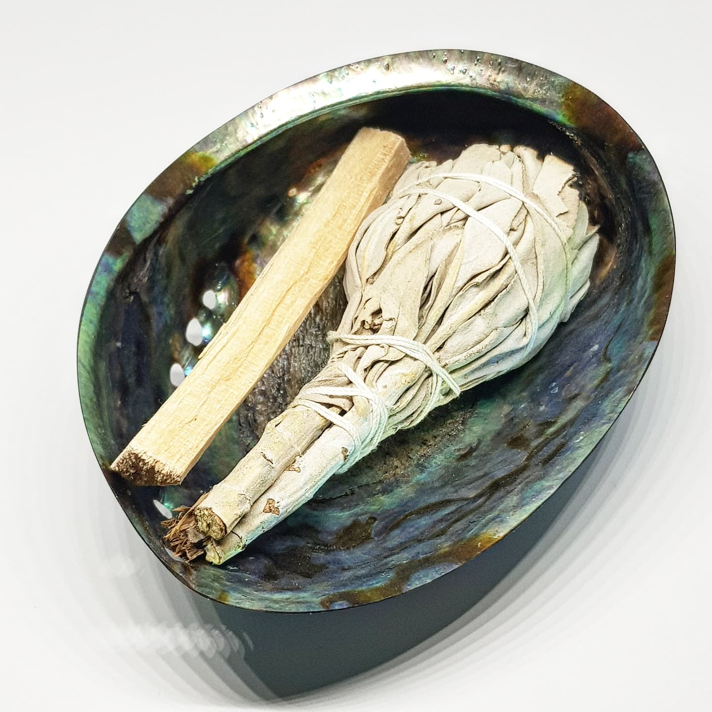 Rainbow Abalone Shell