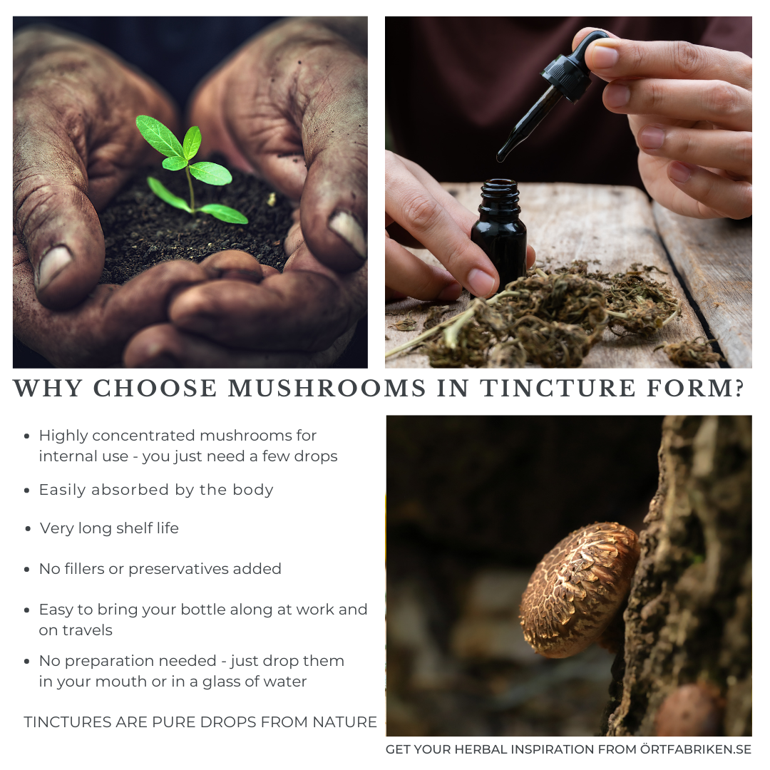 Fantastic Fungi Tincture Oral Supplement 50ml, Plant Based
